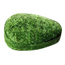 Energrass
