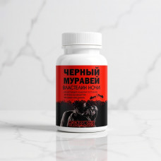 Черный муравей