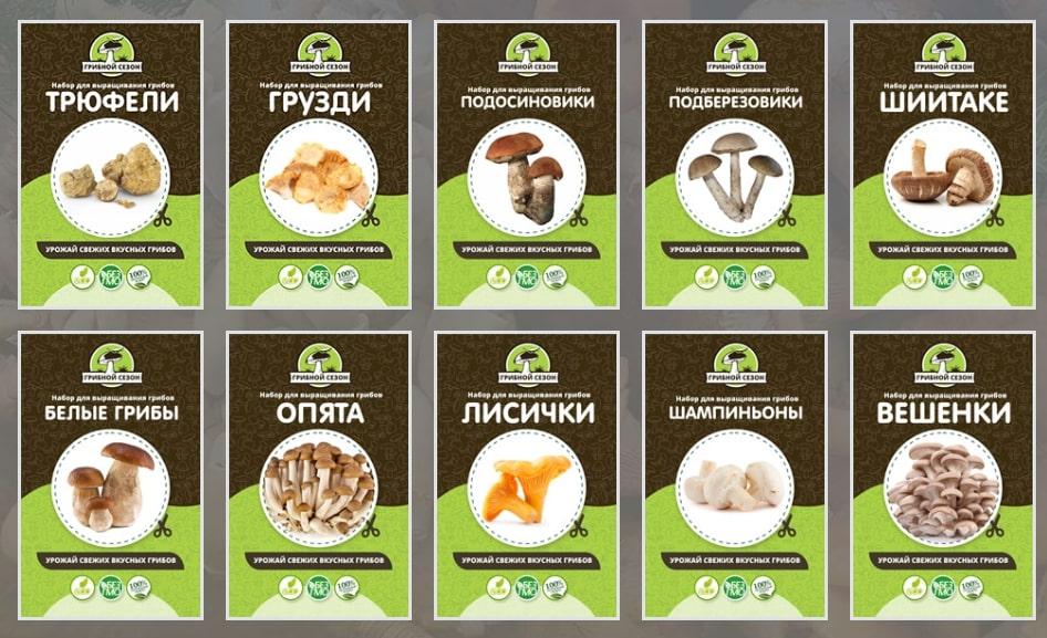 Купить домашняя грибница в Волгограде