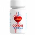Cordis Meridian
